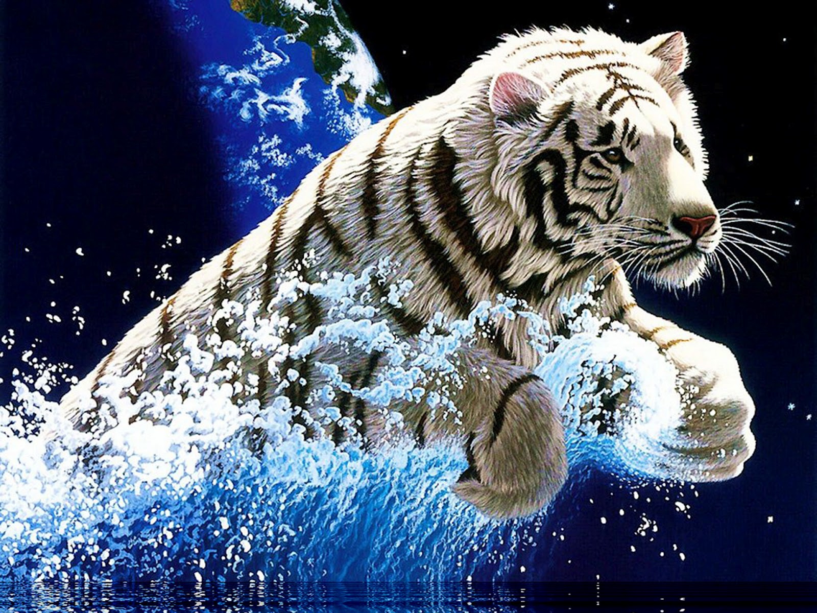 Cool Wallpaper Amazing White Tiger