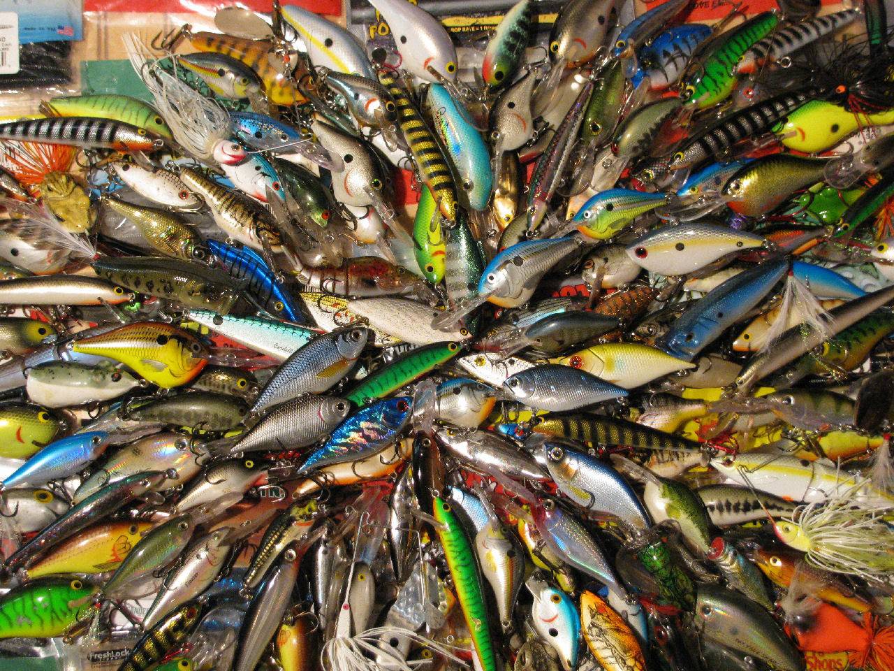 Fish Fishing Vivid Colors Lure Gear Wallpaper Jpg