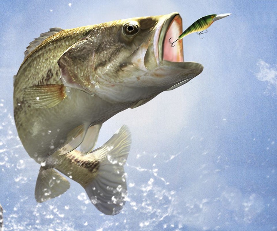 Bass Fishing Wallpaper For iPhone Coolstyle