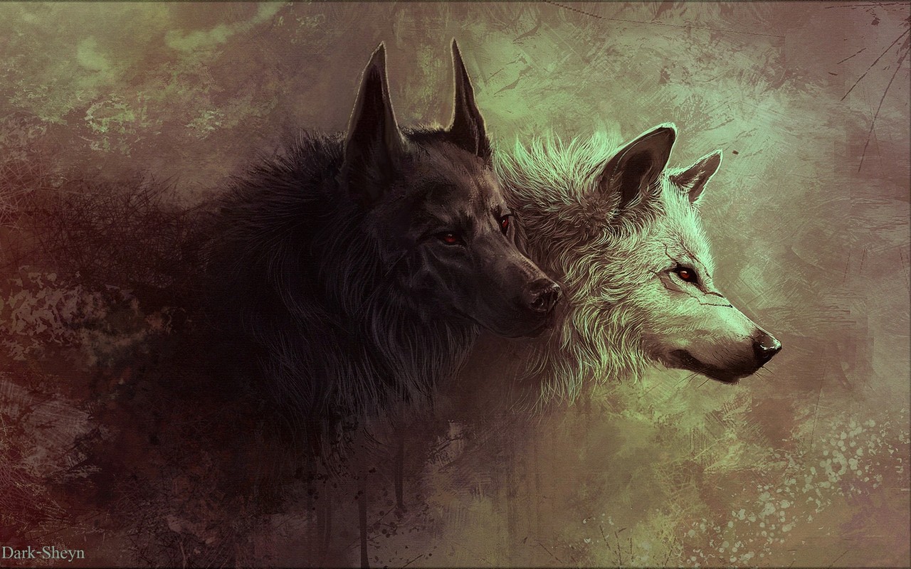 Notes Wolves Wild Wolf Art
