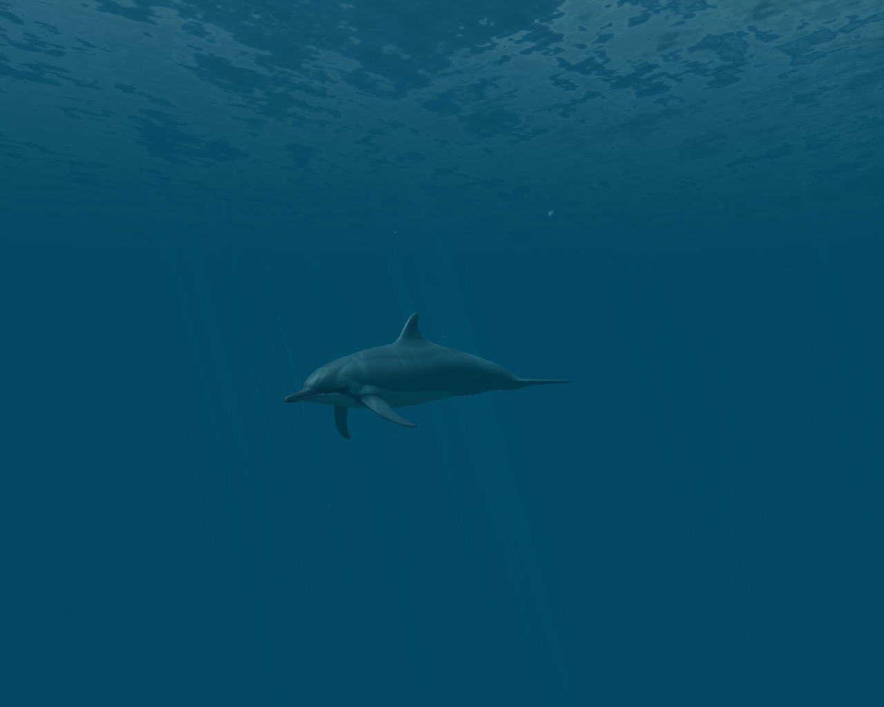 Dolphins 3d Screensaver And Animated Wallpaper Build Pc Html