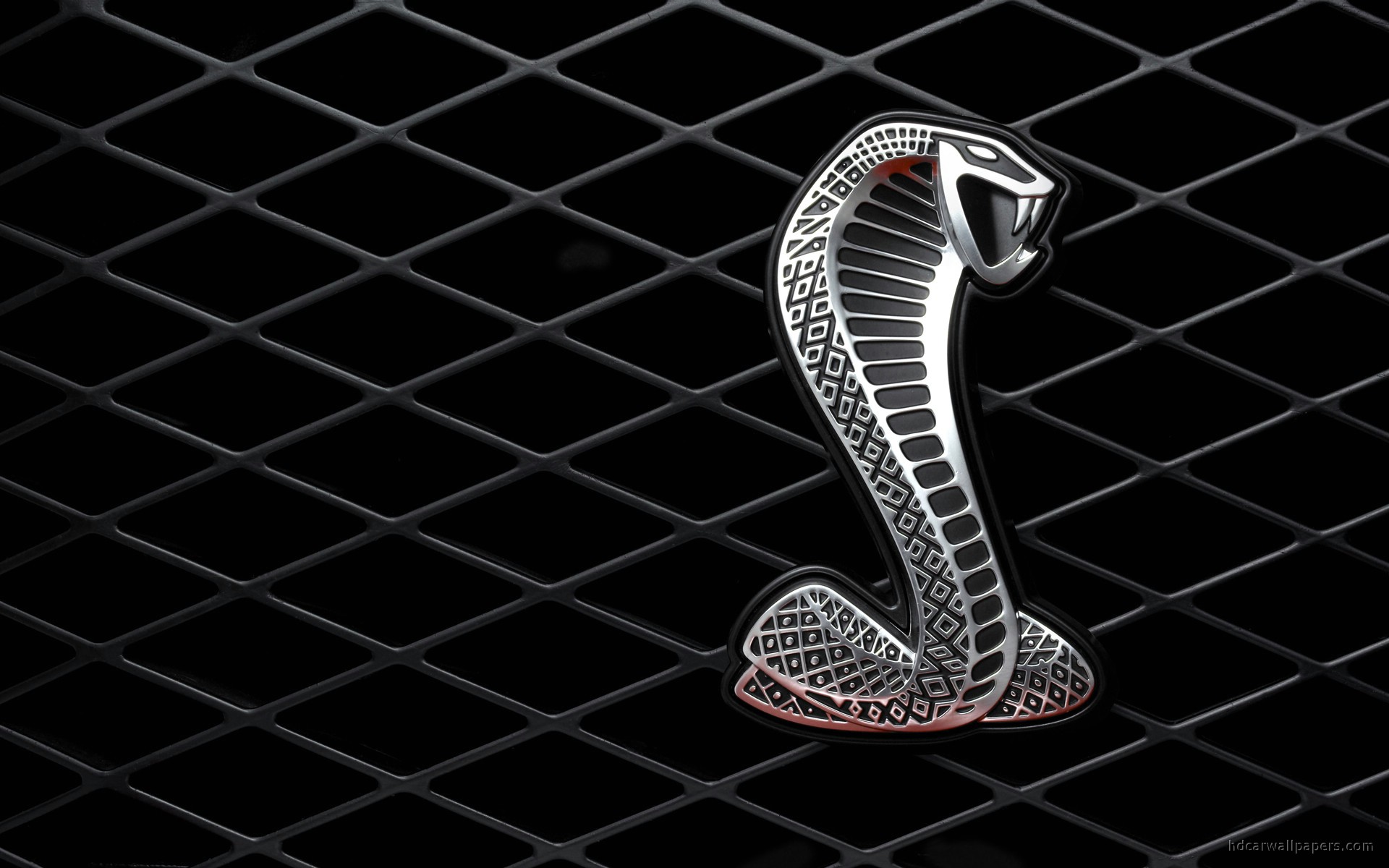 Shelby Cobra Wallpaper HD Car