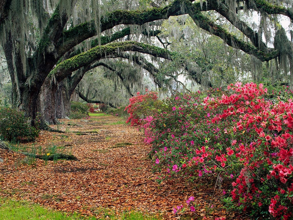 Charleston South Carolina Romantic Getaway Jpg