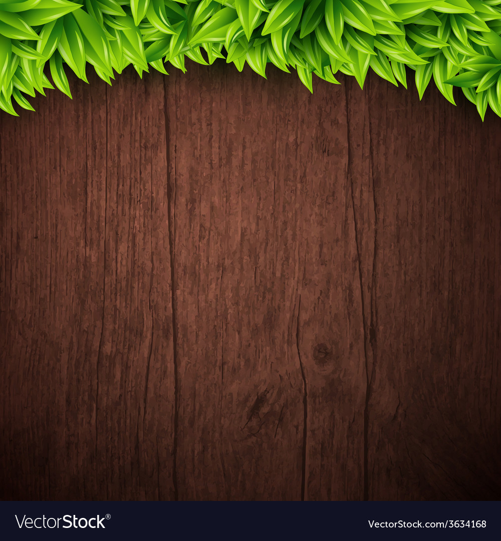 Natural Background With Wooden Board And Leaves Vector Image