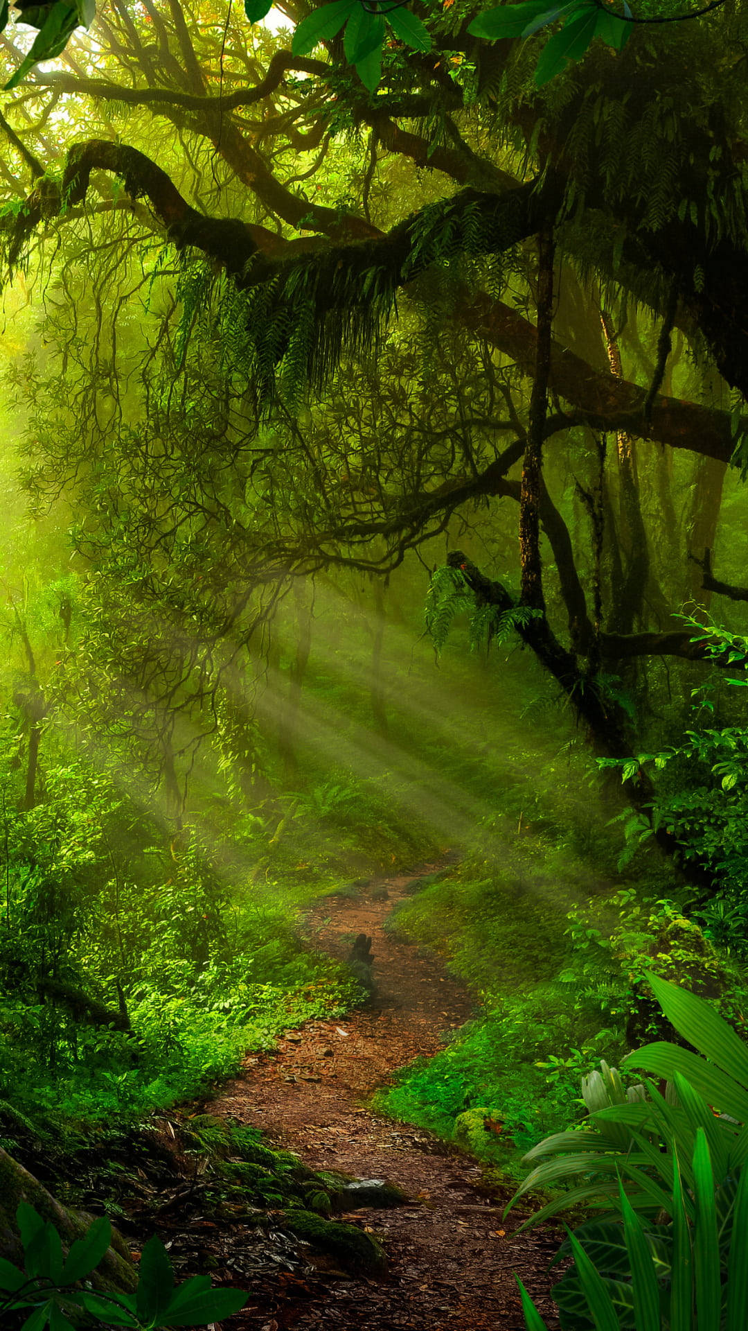 Jungle iPhone Wallpaper