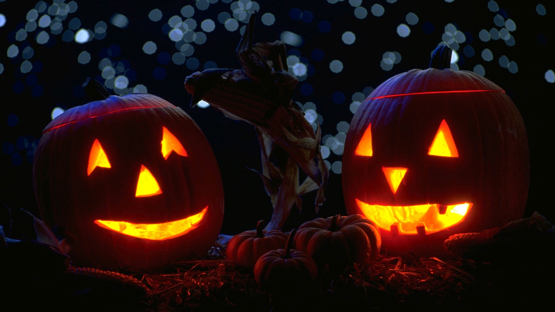 Jack O Lanterns Widescreen Wallpaper