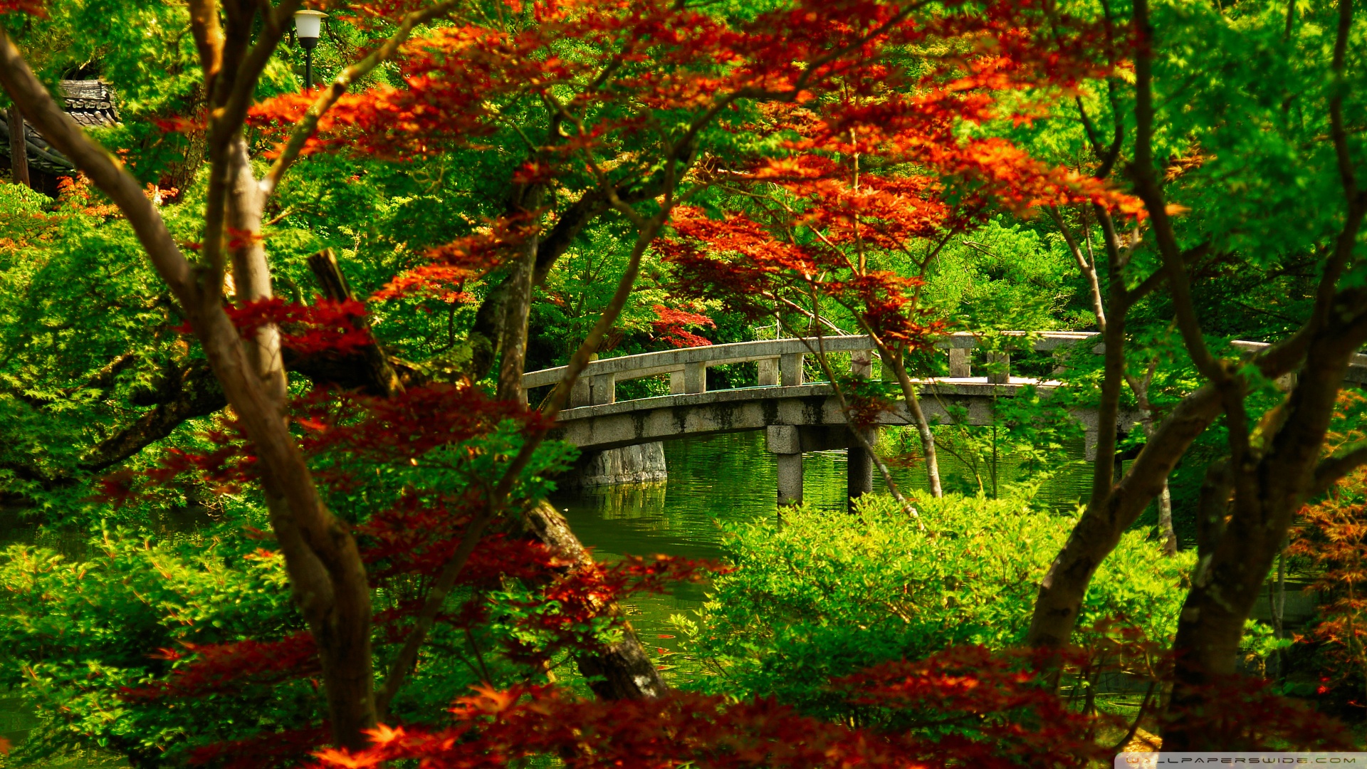 Japanese Garden Kyoto Wallpaper 1920x1080 Japanese Garden Kyoto 1920x1080