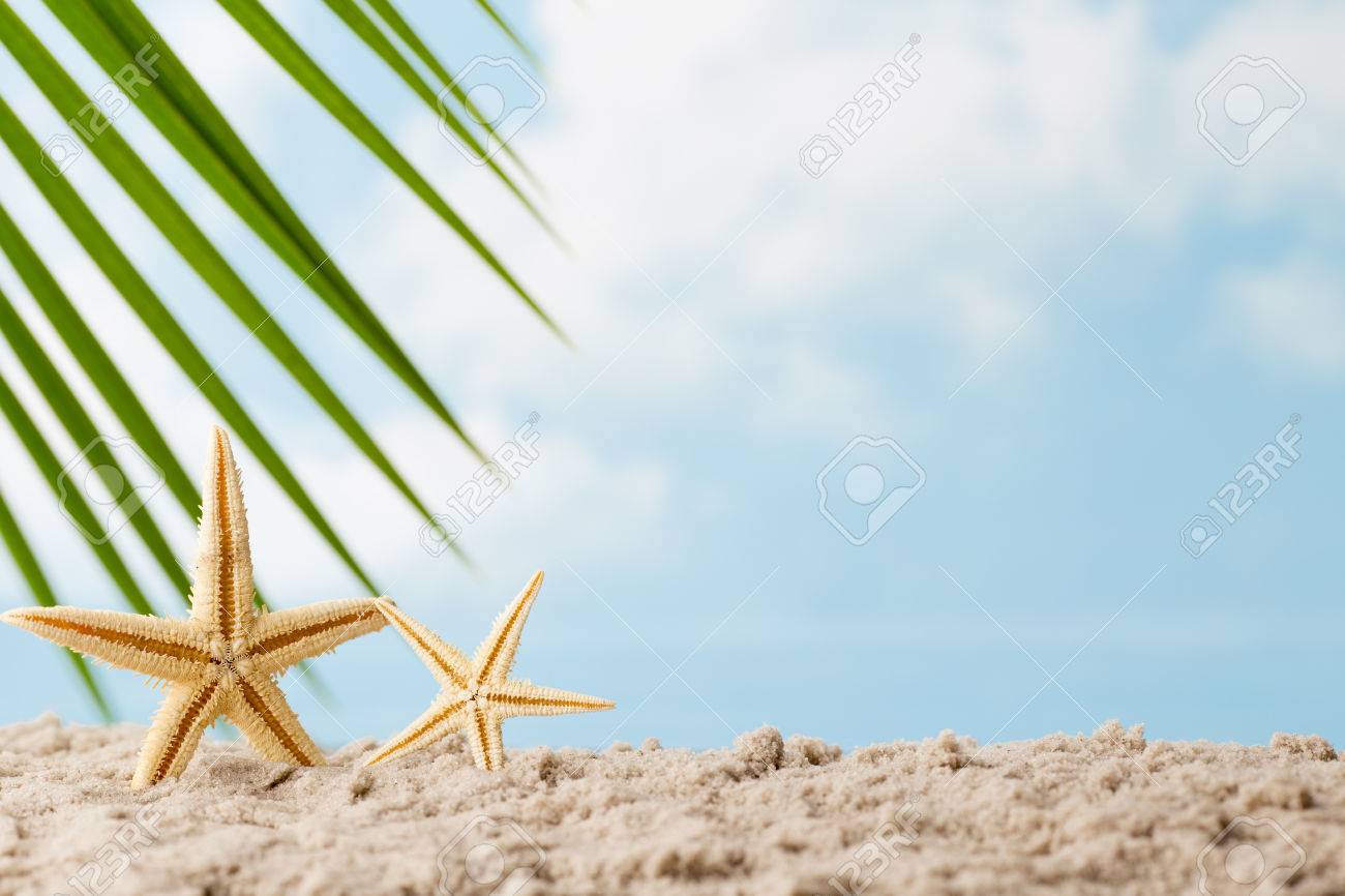 Sea Stars On The Beach Relaxation Background Stock Photo