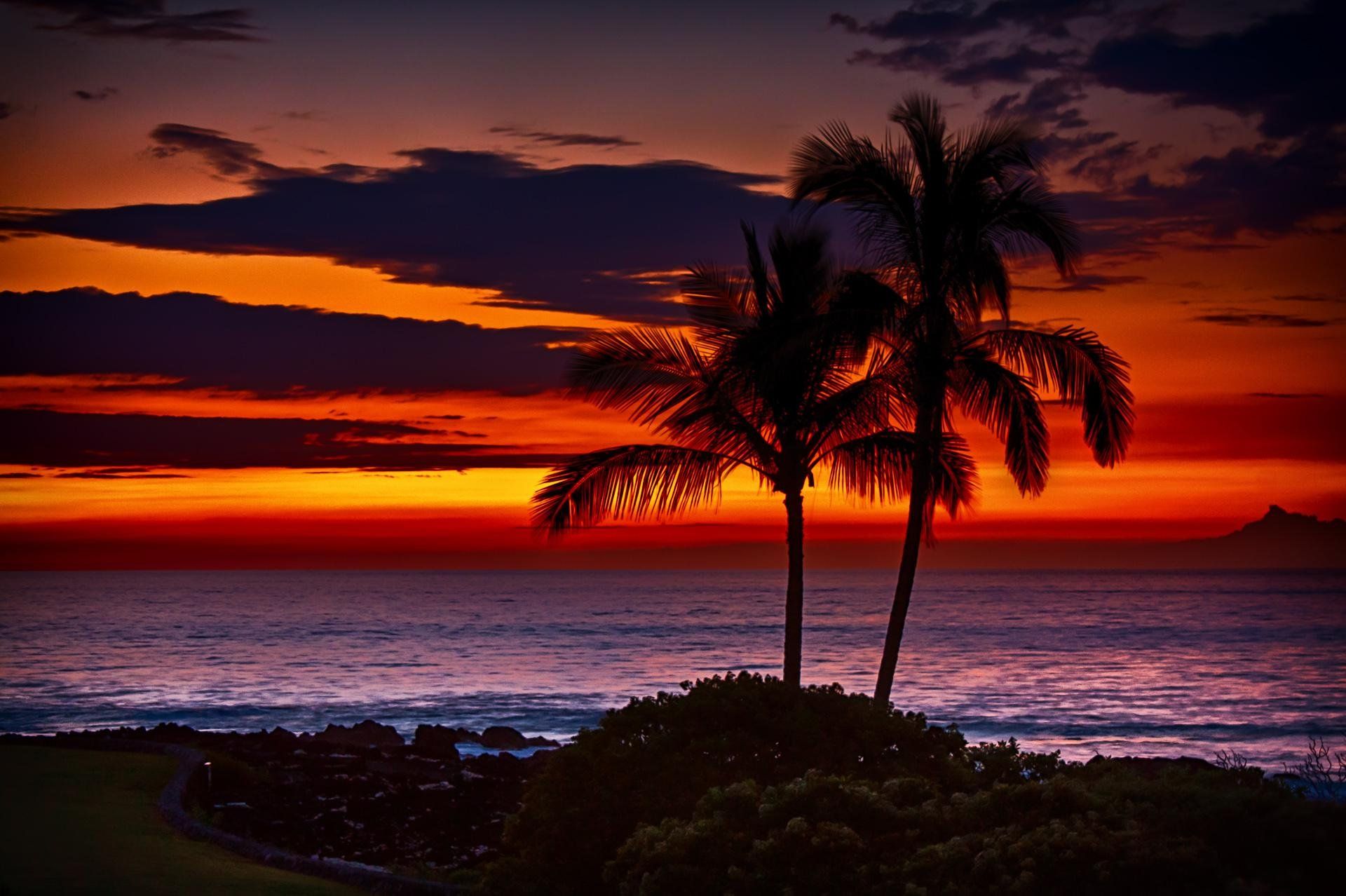 Tropical Sunset 4k Wallpaper