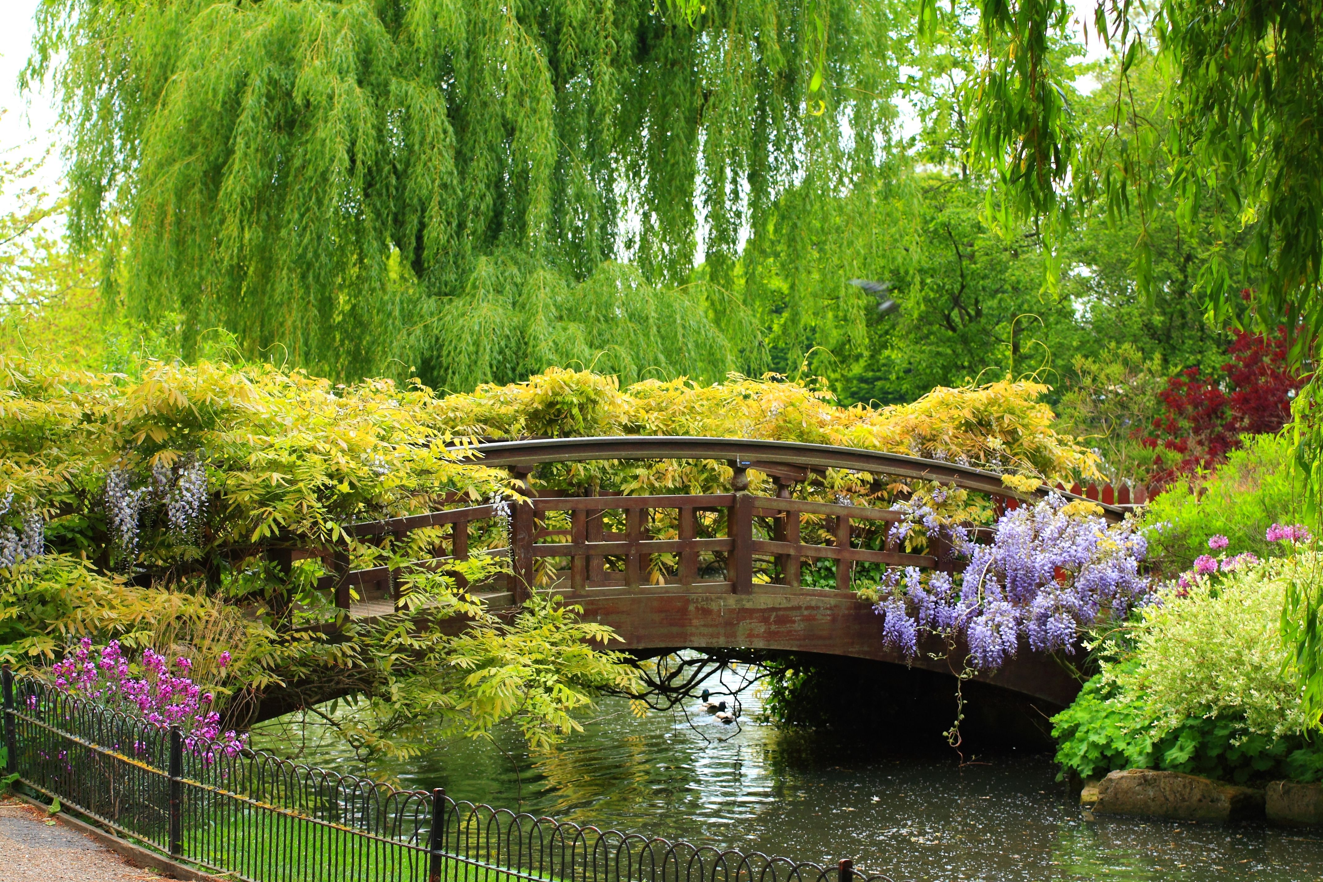Spring Garden Bridge Park Beautiful River Fence Plants