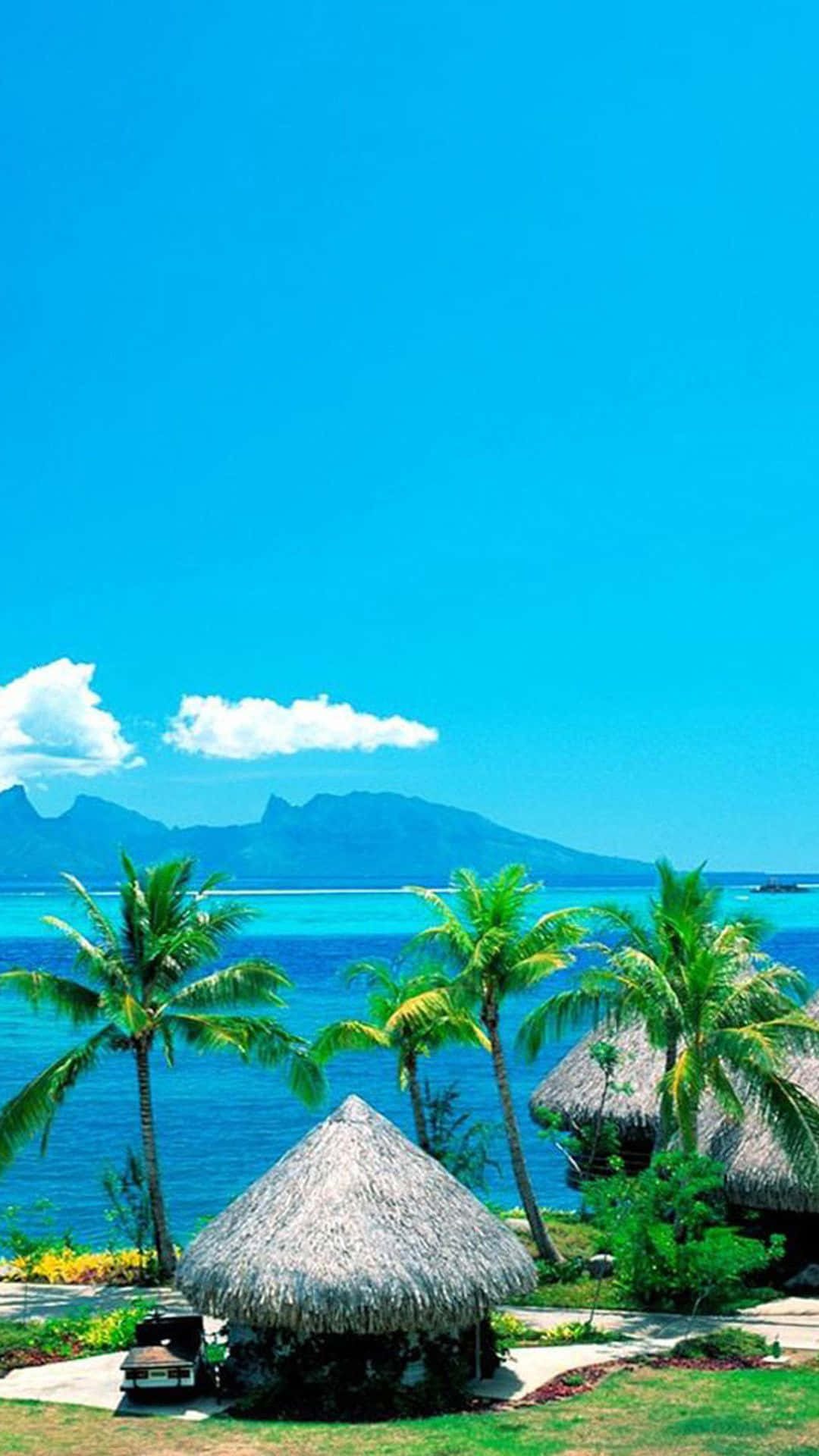 Stunning Beach Tropical iPhone Scenery Wallpaper