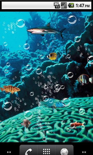 Android Wallpaper Funny Underwater Live Wallpape Html