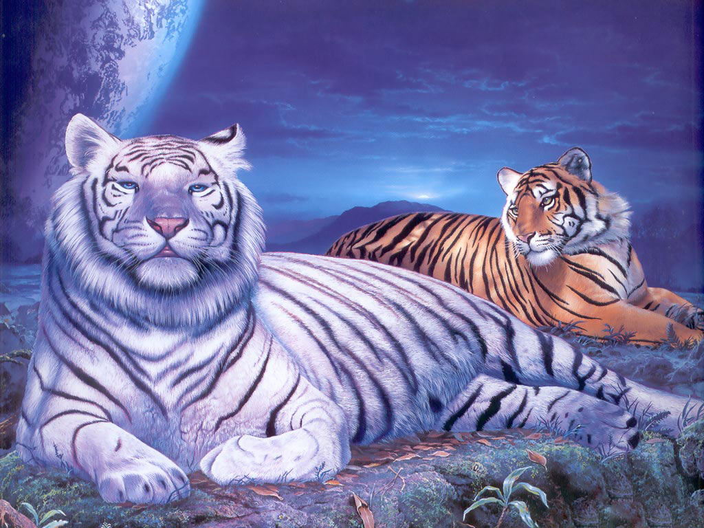 Tigers Desktop Wallpaper Jpg