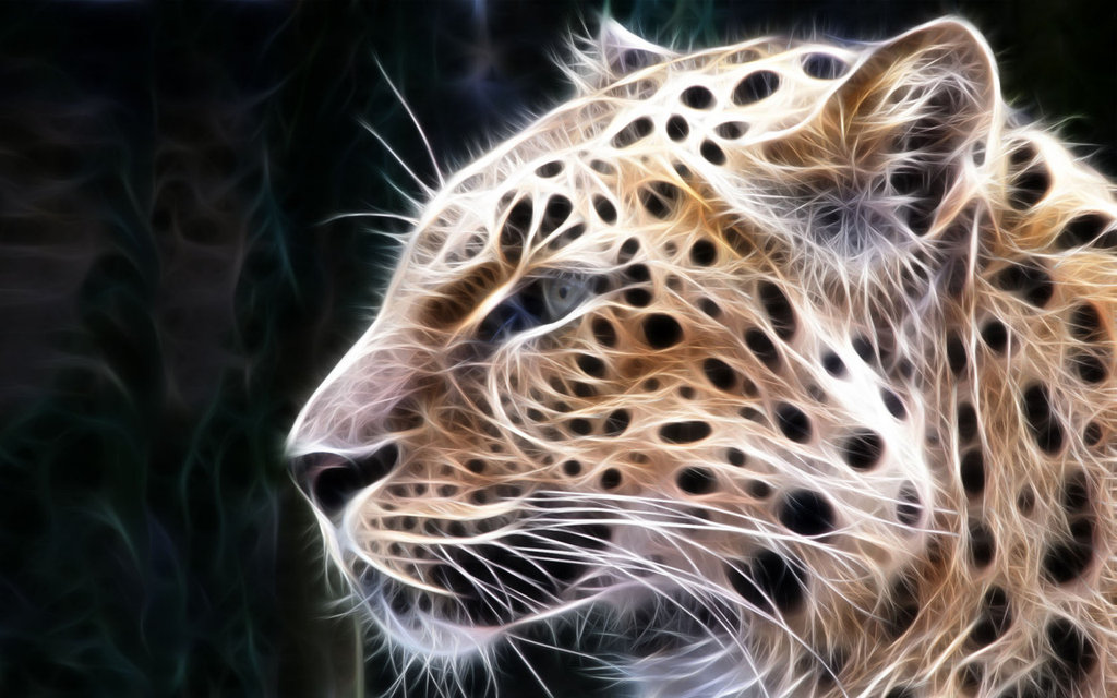 Leopard Pride Wallpaper 3d HD Animal