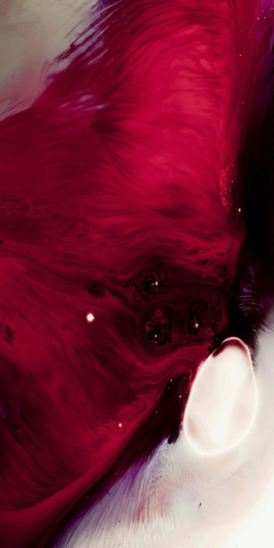 Red iPhone X Wallpaper