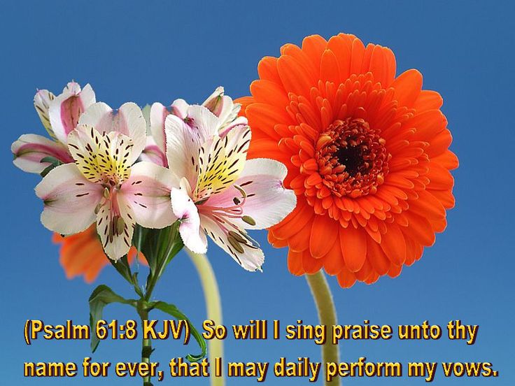 Kjv Spring Bible Verse Wallpaper