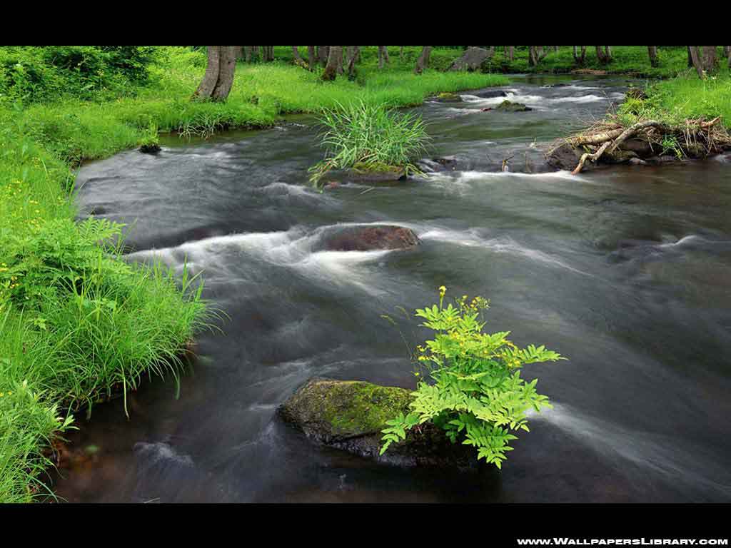 Very Nice Mountain River Wallpaper Pictures
