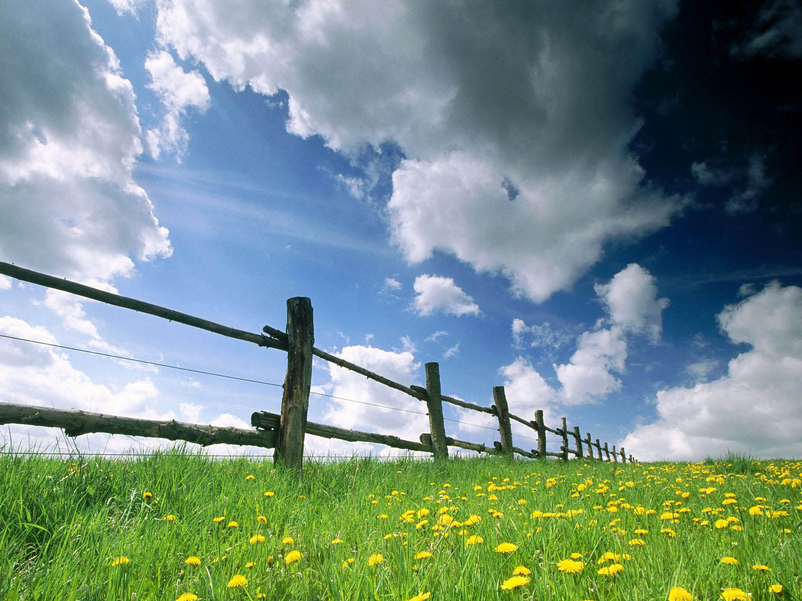 wallpaper Spring Desktop Wallpapers and Backgrounds