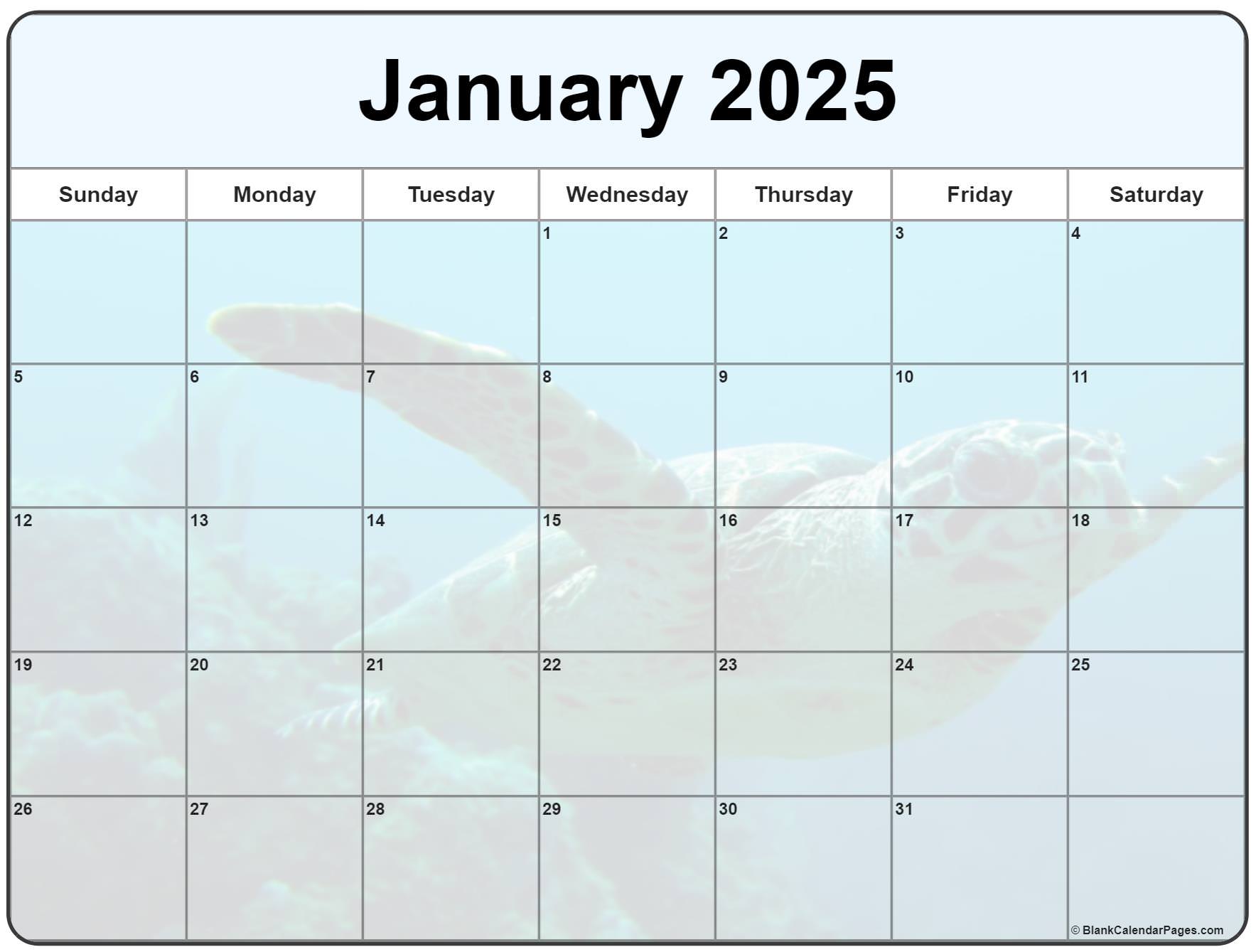 January 2025 Calendar Wallpaper with a Sea Turtle