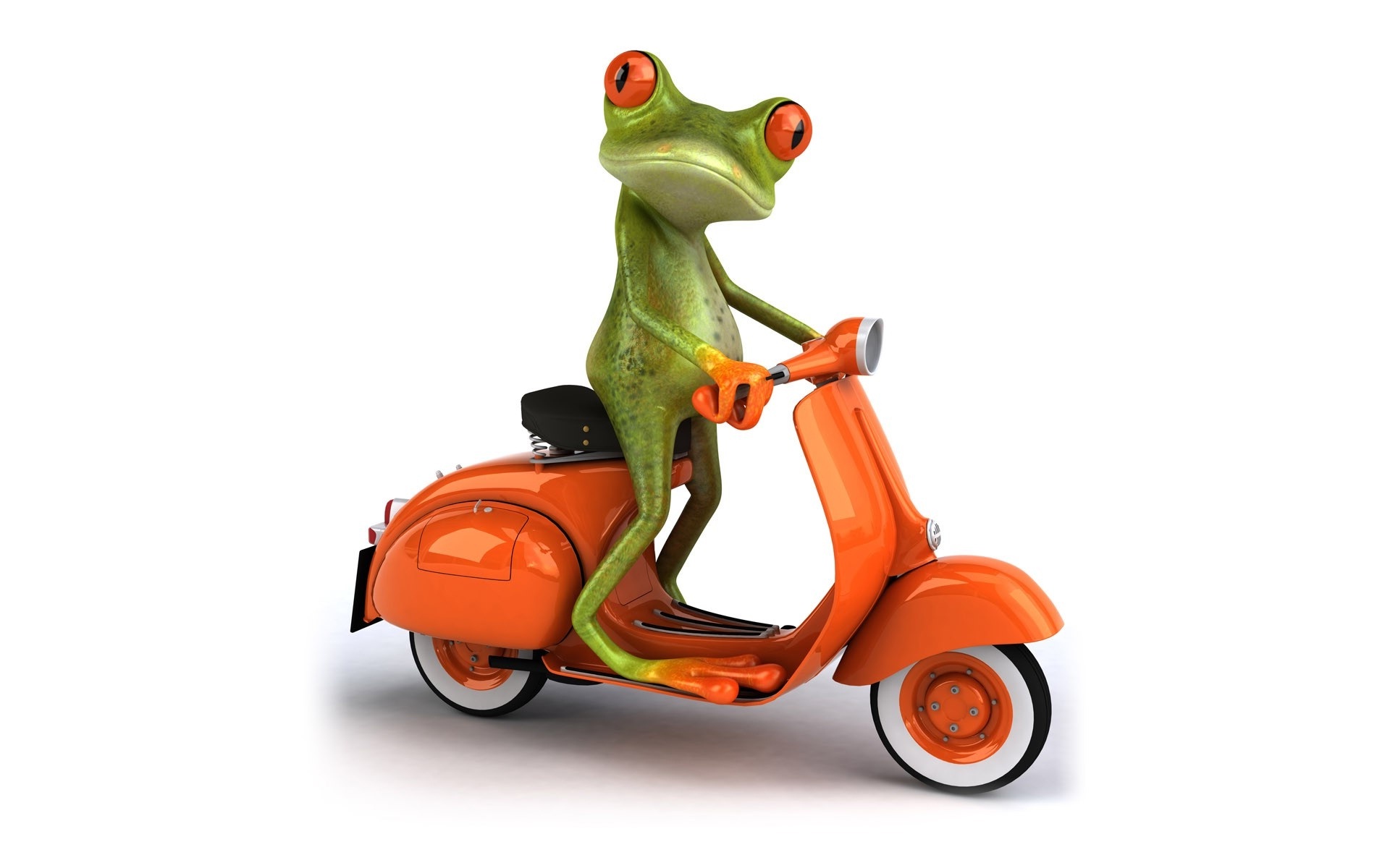 Cartoon frog drive scooter funny wallpaper HD Wallpapers Rocks