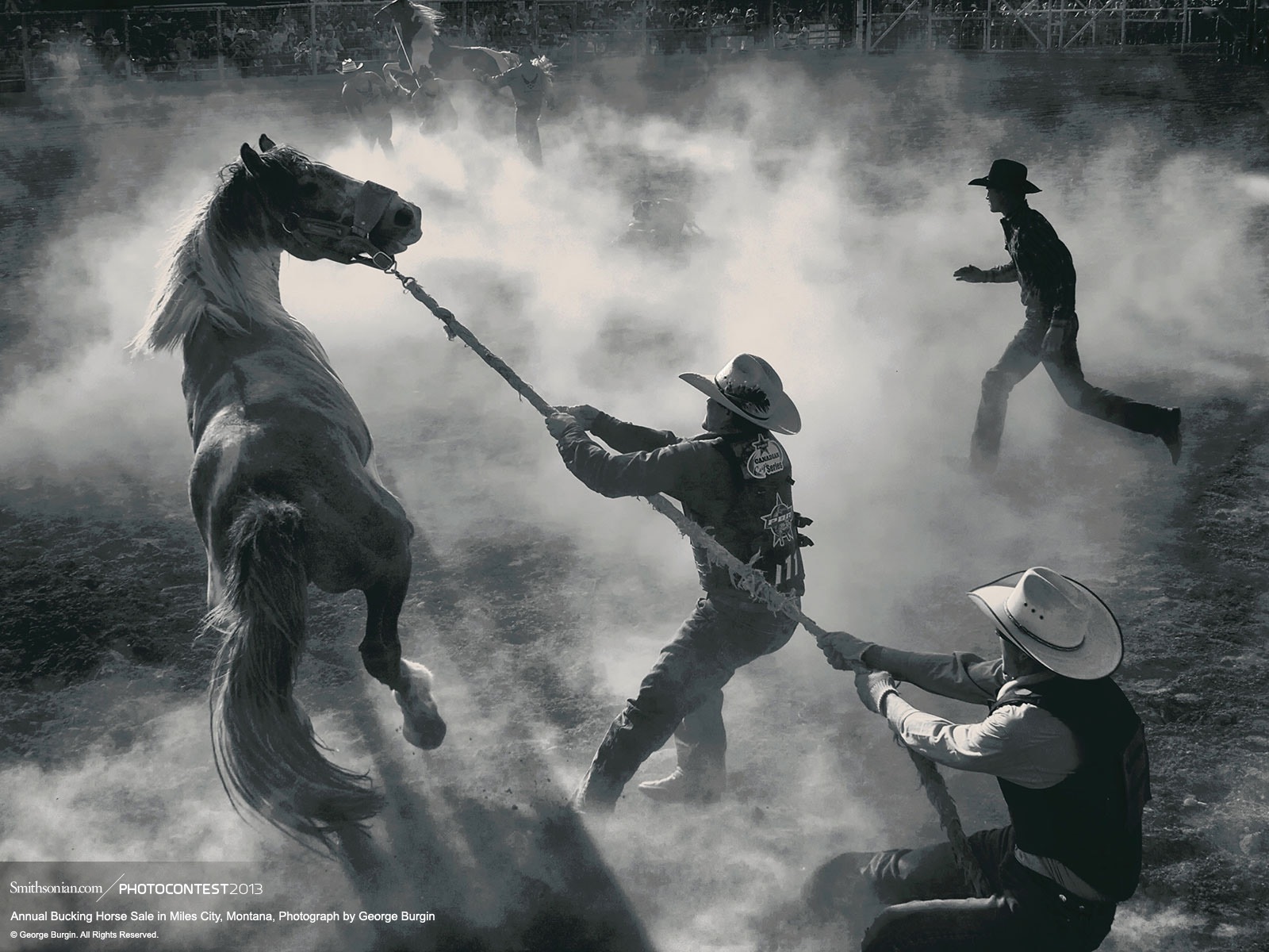 Rodeo Wallpaper Black And White
