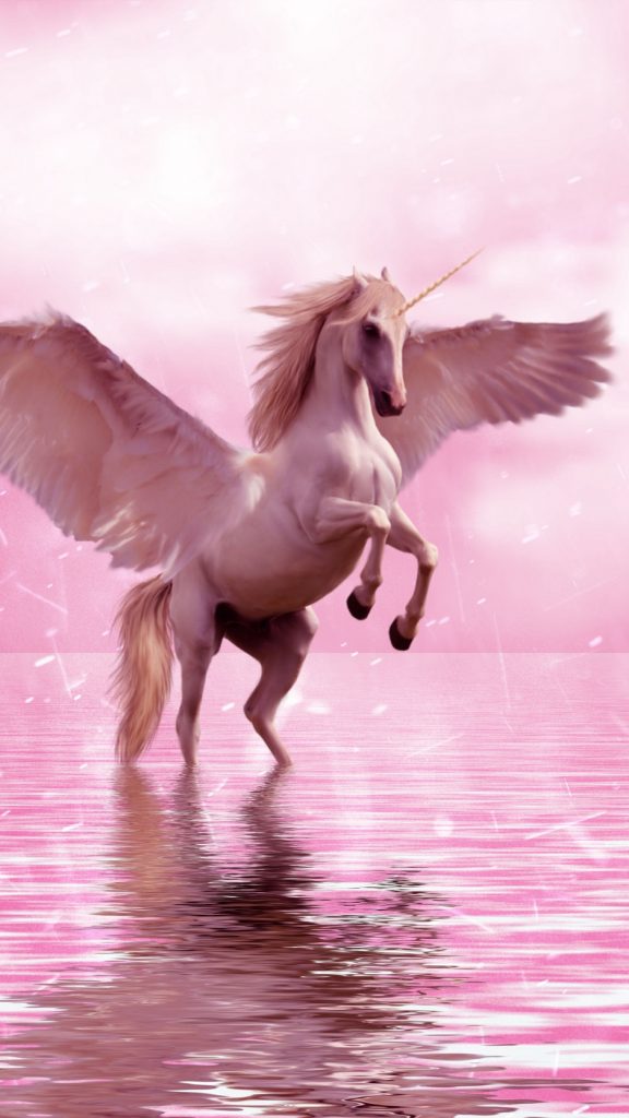 Unicorn Wings Horse Fantasy Wallpaper Background