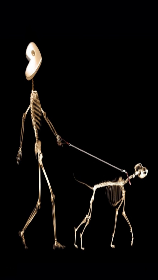 Funny Dog Man Skeleton