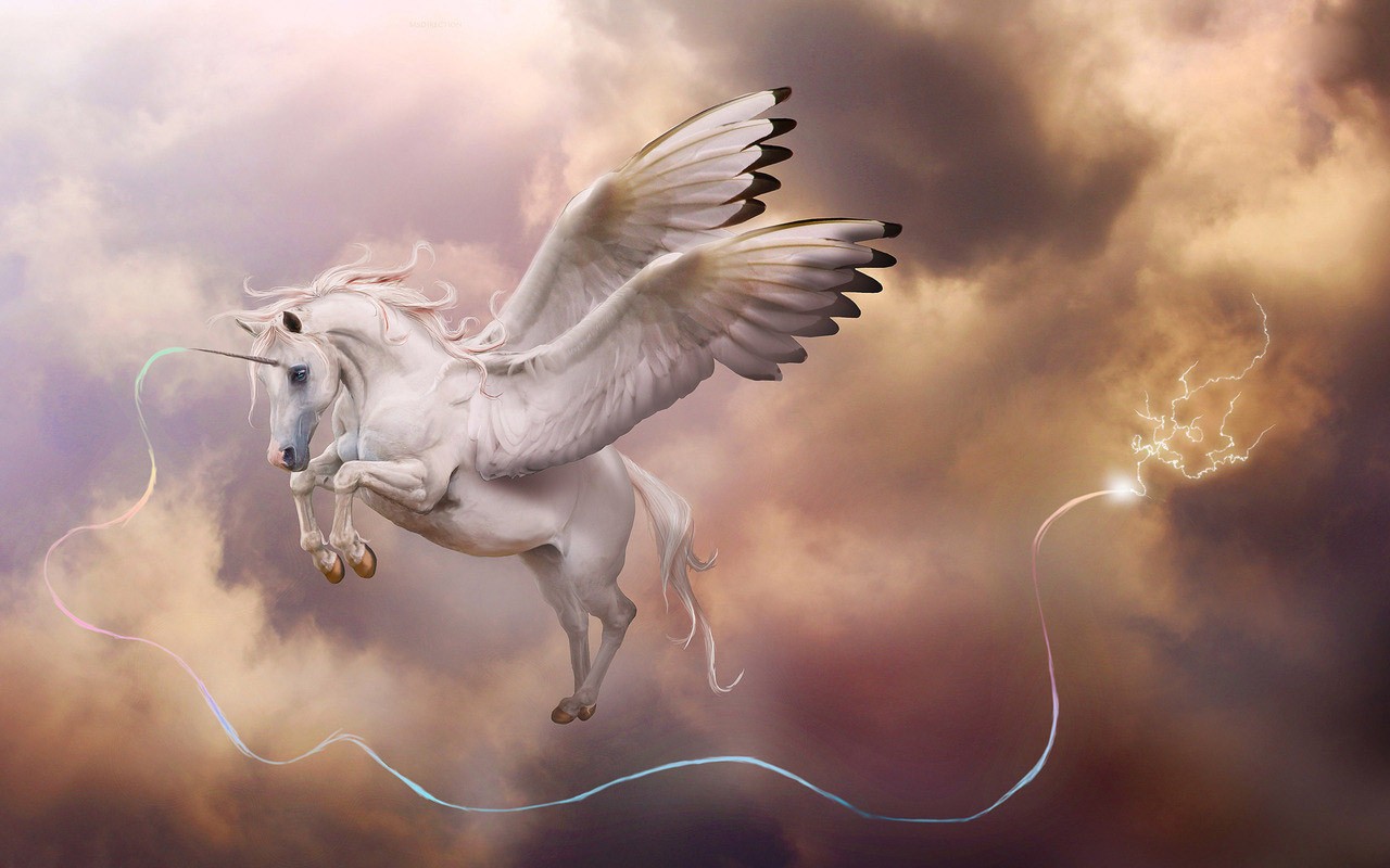 Pegasus Unicorn Desktop Wallpaper New HD