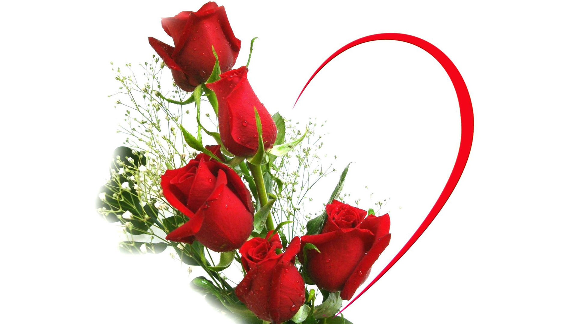 Love Flowers Wallpaper HD Pictures Live Hq
