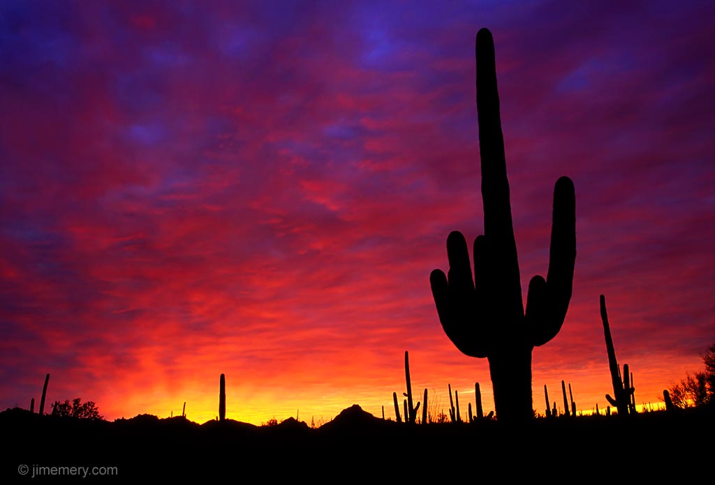 Arizona Desert Desktop Wallpaper On