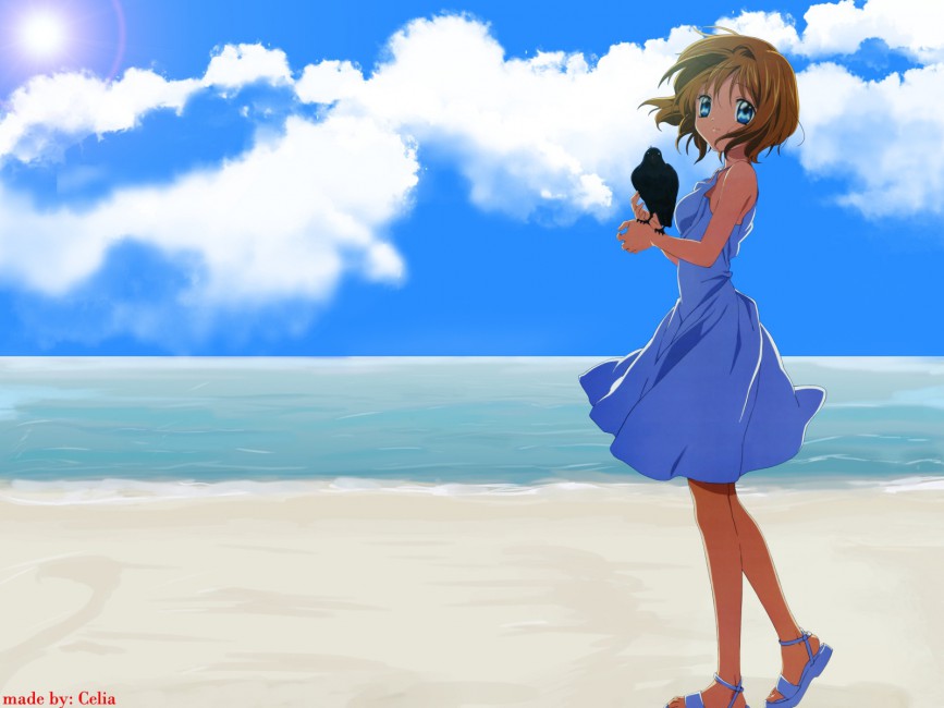 Air Kamio Misuzu Girl Dress Bird Beach Water Wind Stock