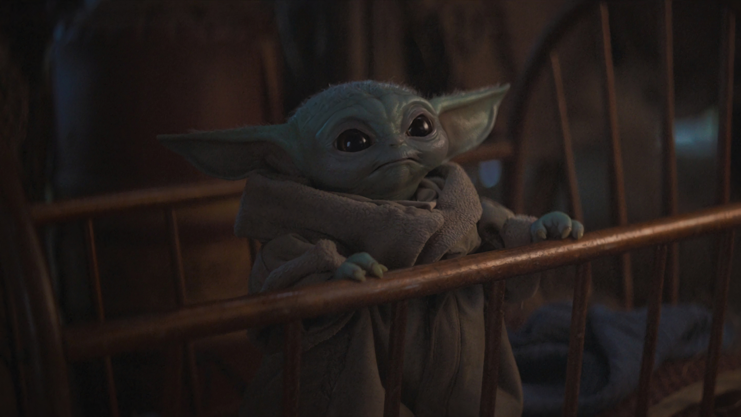 2560x1440 Cute Baby Yoda from Mandalorian 1440P Resolution