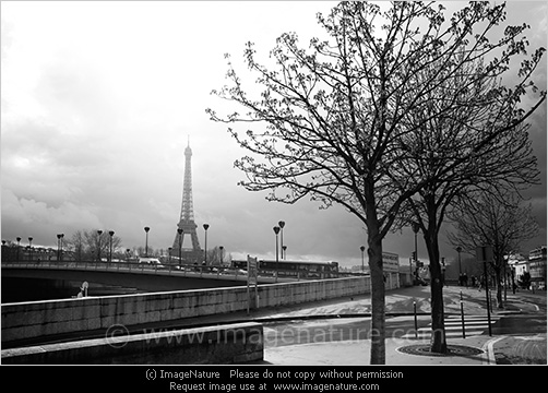 In Paris Travel Stock Photos Image Of Nature Black And White Photo