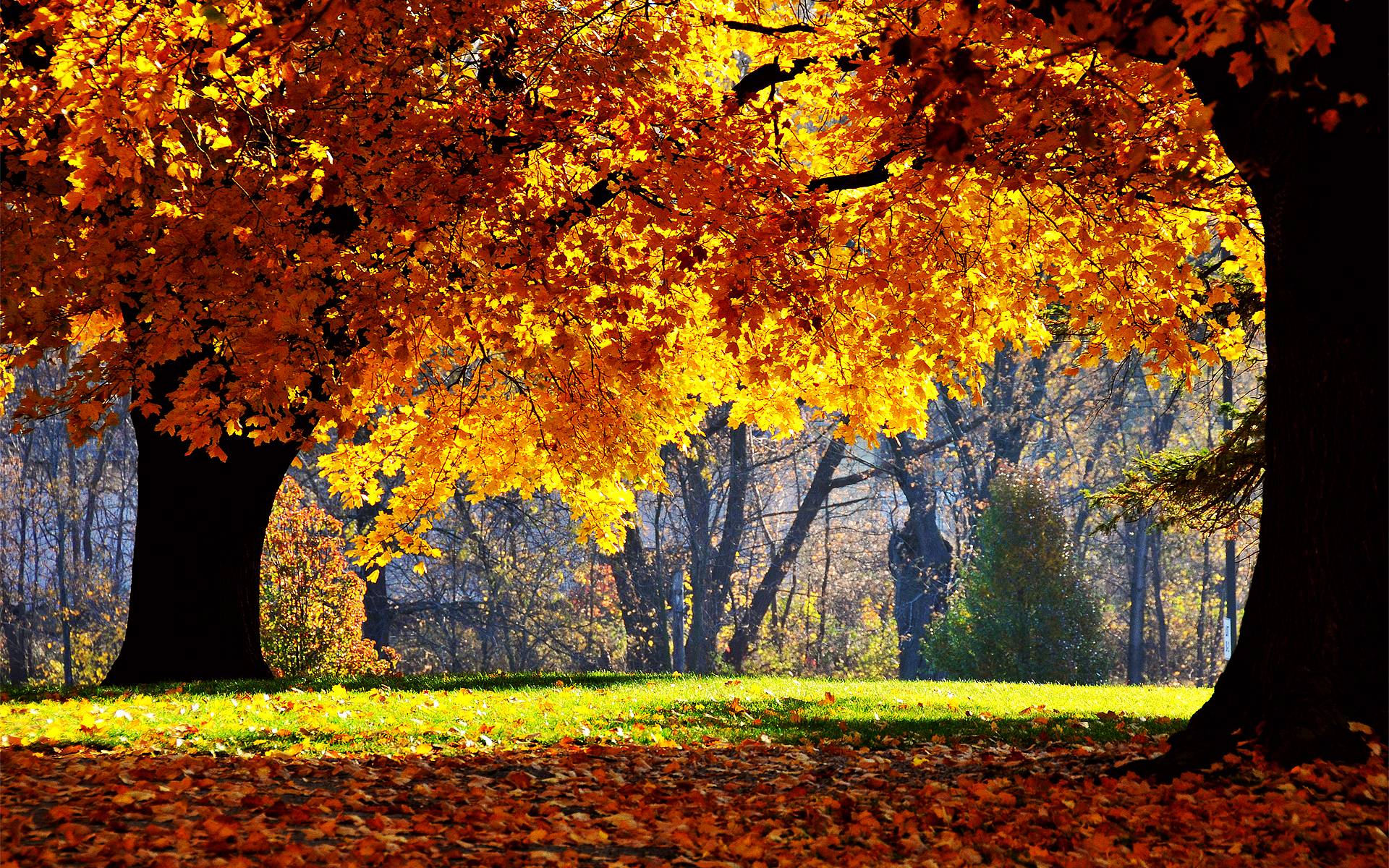 Autumn Desktop Wallpaper Background