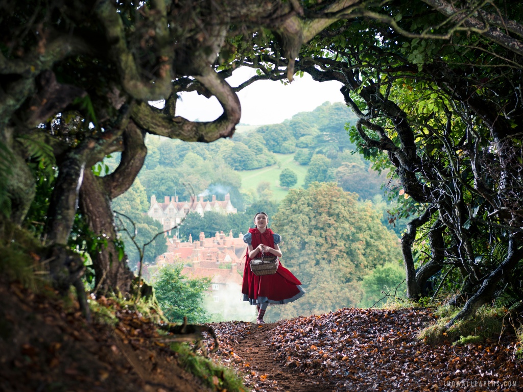 Into the Woods HD Wallpaper   iHD Wallpapers