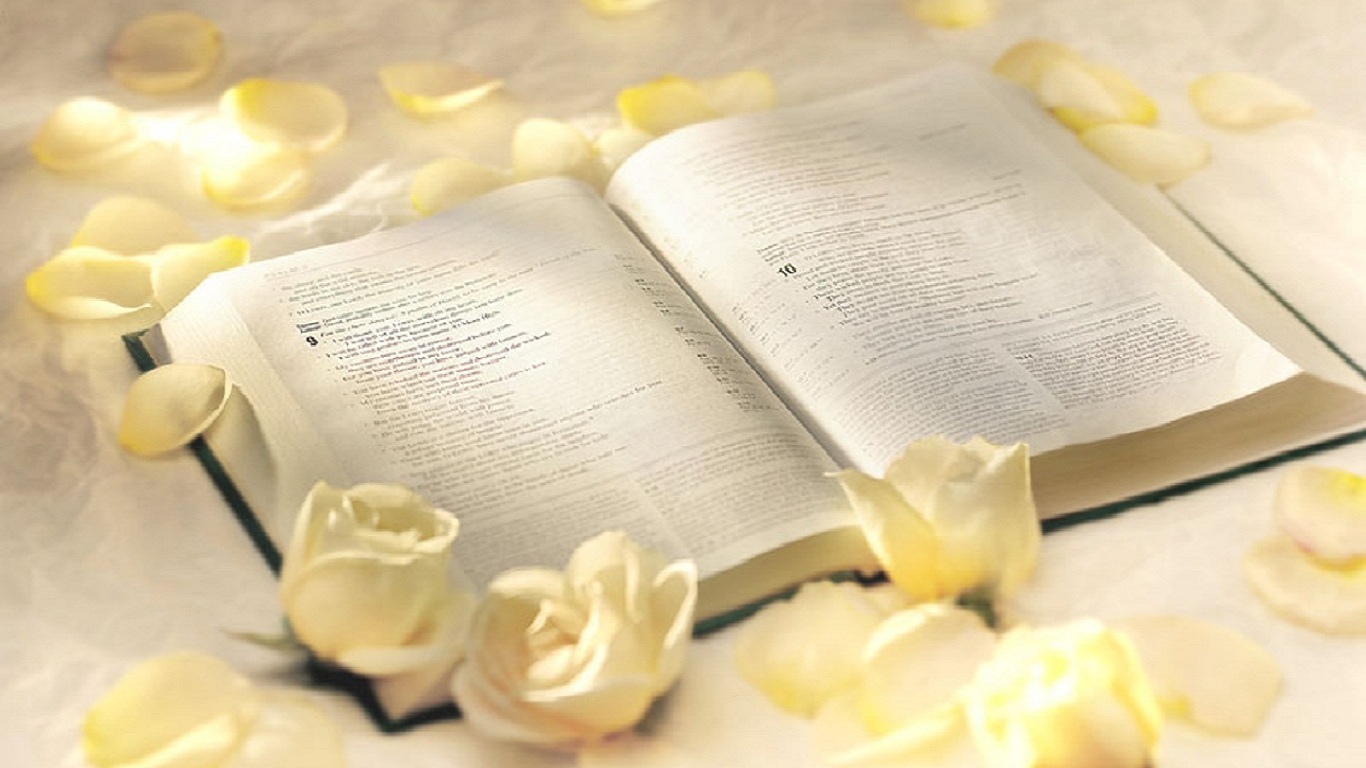 Bible And Roses Wallpaper