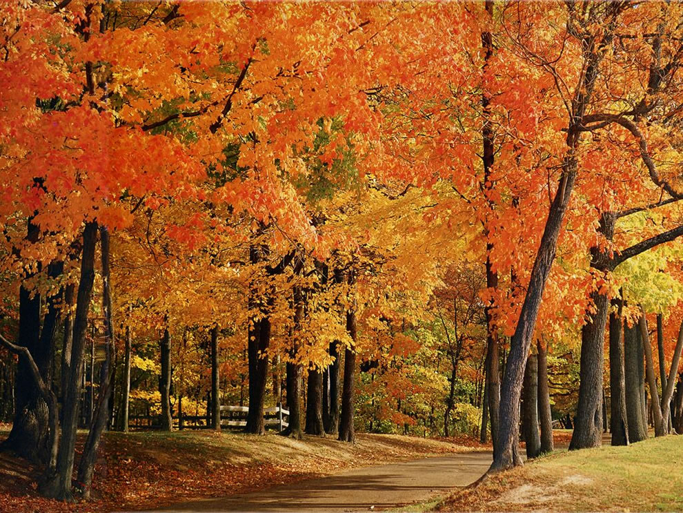 America The Beautiful In Autumn Peak Fall Foliage Dates For