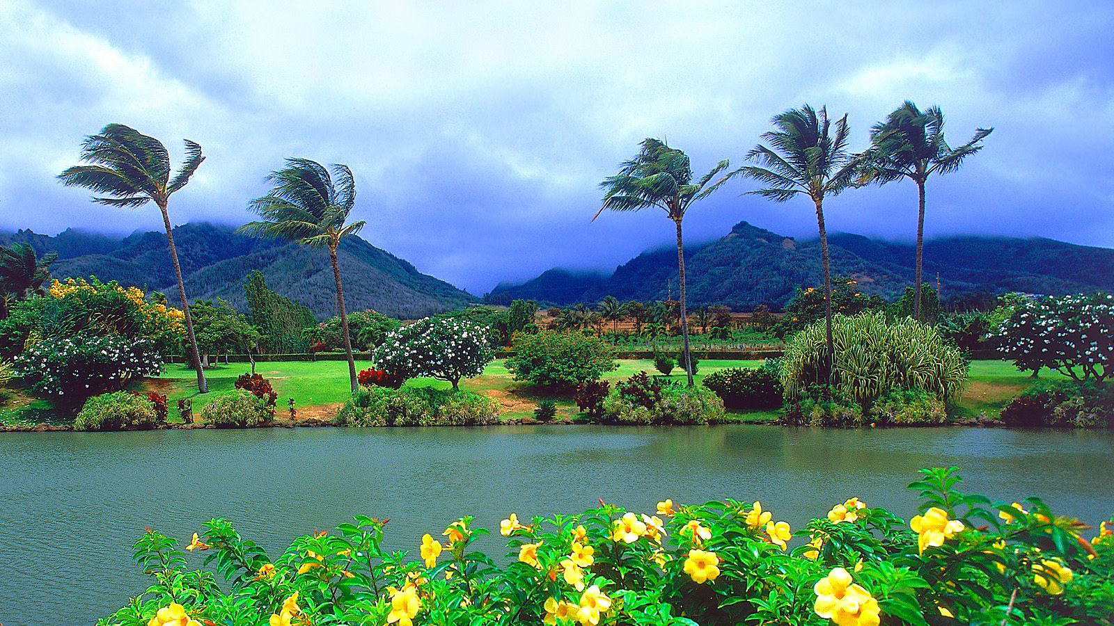 Hawaii Tourismus Wallpaper Kostenlos