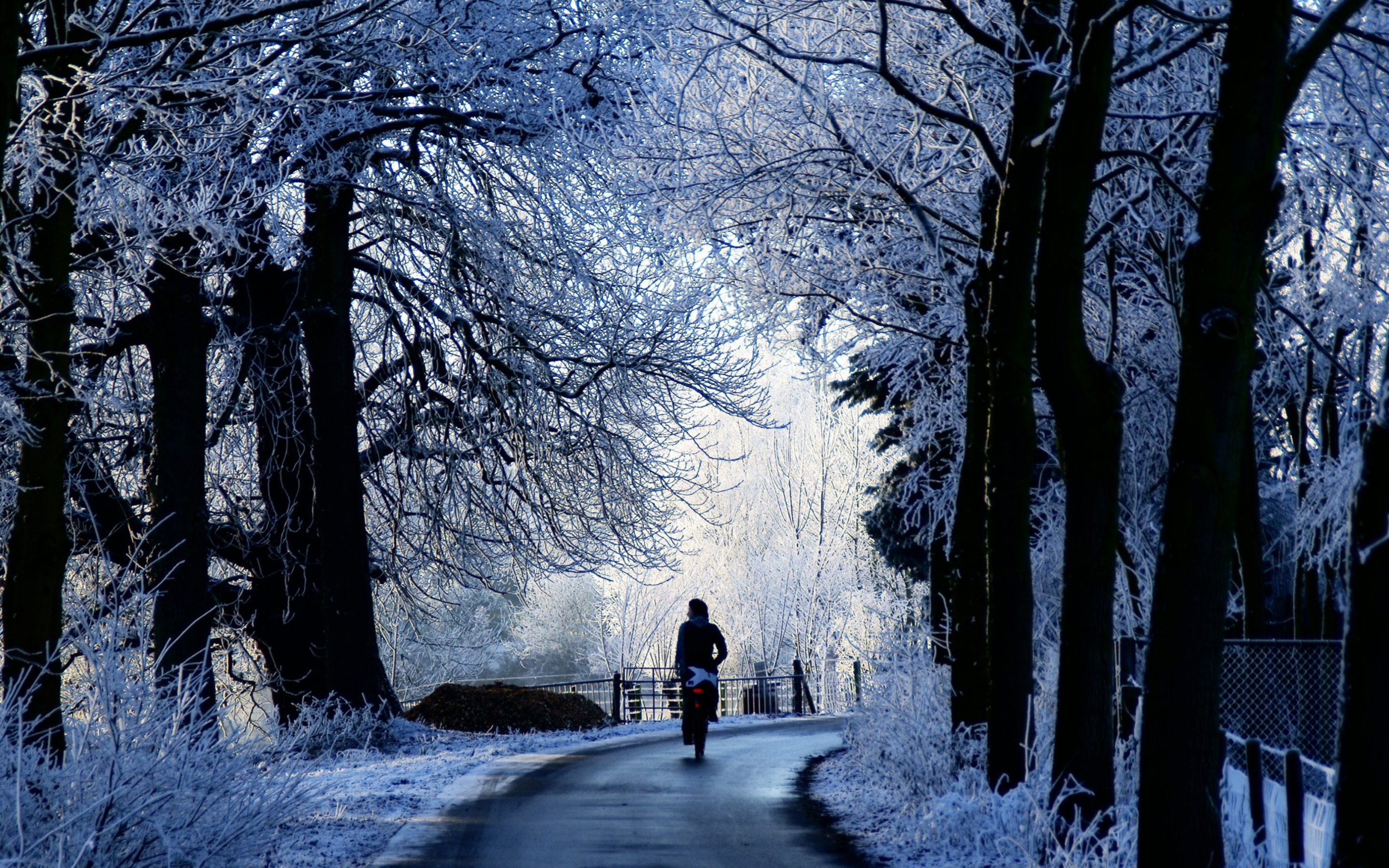 Winter Road Scene Mac Wallpaper