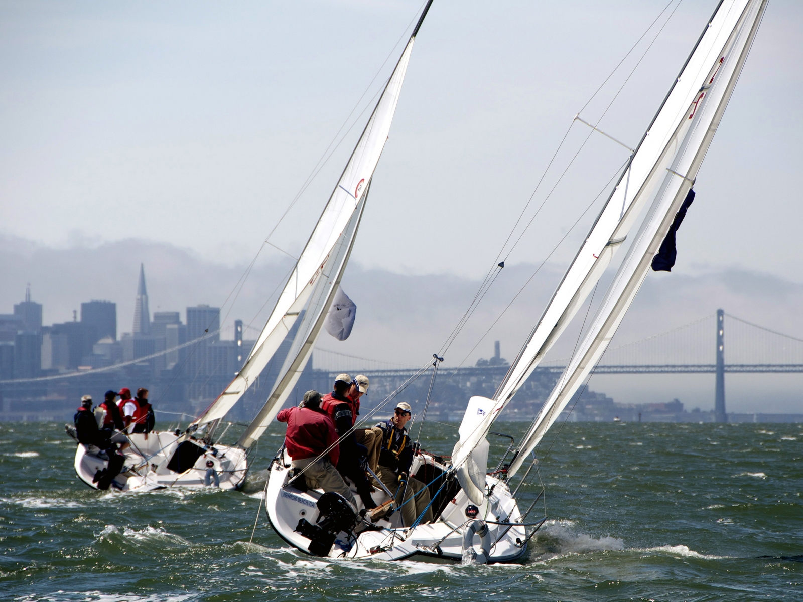Sail Boats In San Francisco Bay Desktop Wallpaper