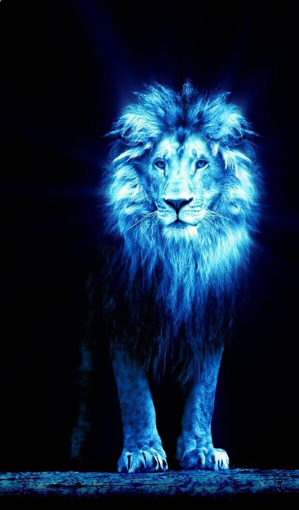 Lion Of Judah Prophetic Art Painting In Blue Wow This Is