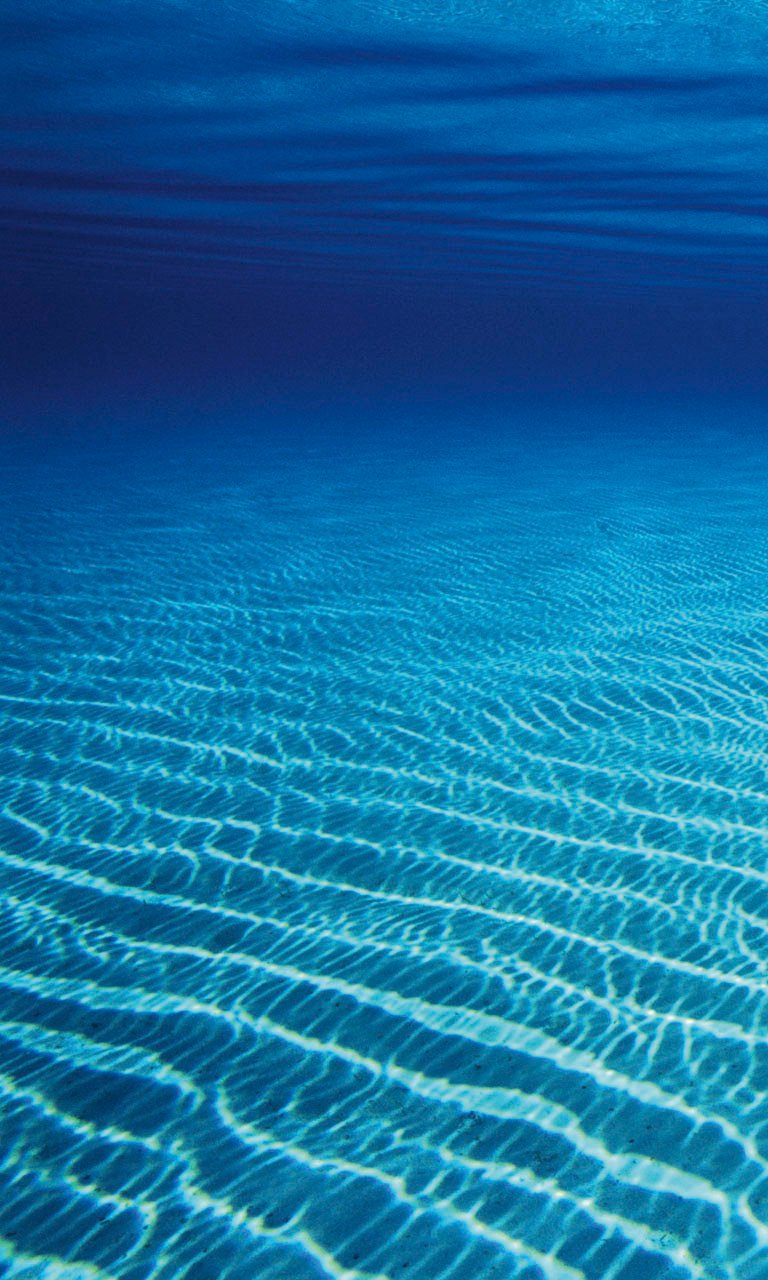 Free download Ocean Floor Lumia 1020 Wallpaper 768x1280 [768x1280