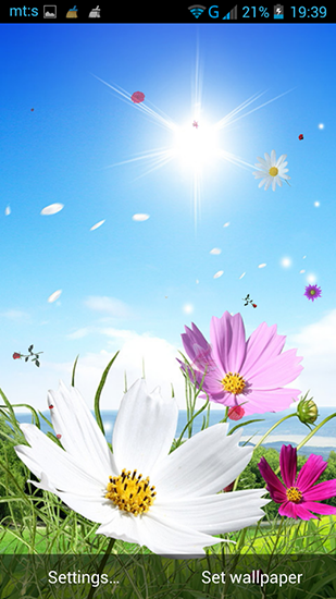 Live Wallpaper For Android Spring By Pro