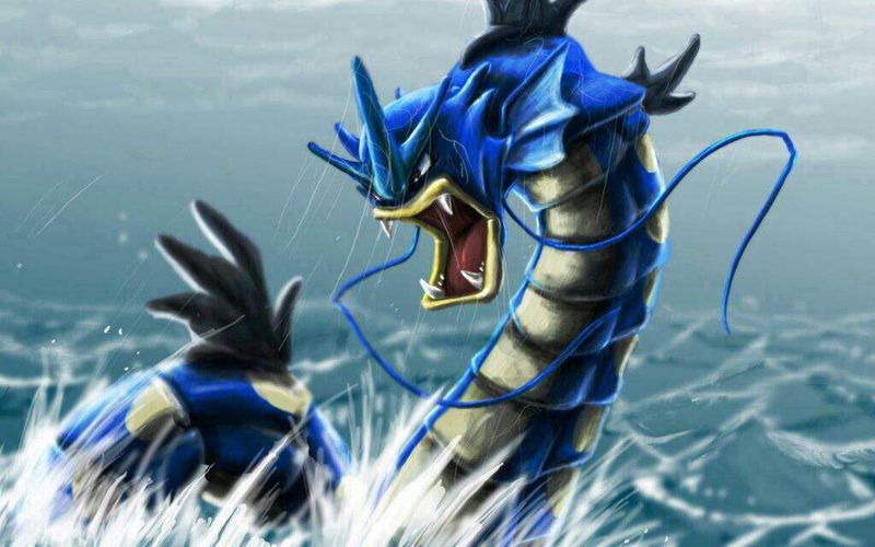 Gyarados Siembra El P Nico En La Ltima Actualizaci N De