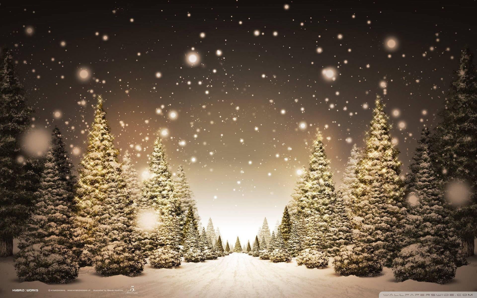 Discover The Magical Christmas Forest Wallpaper
