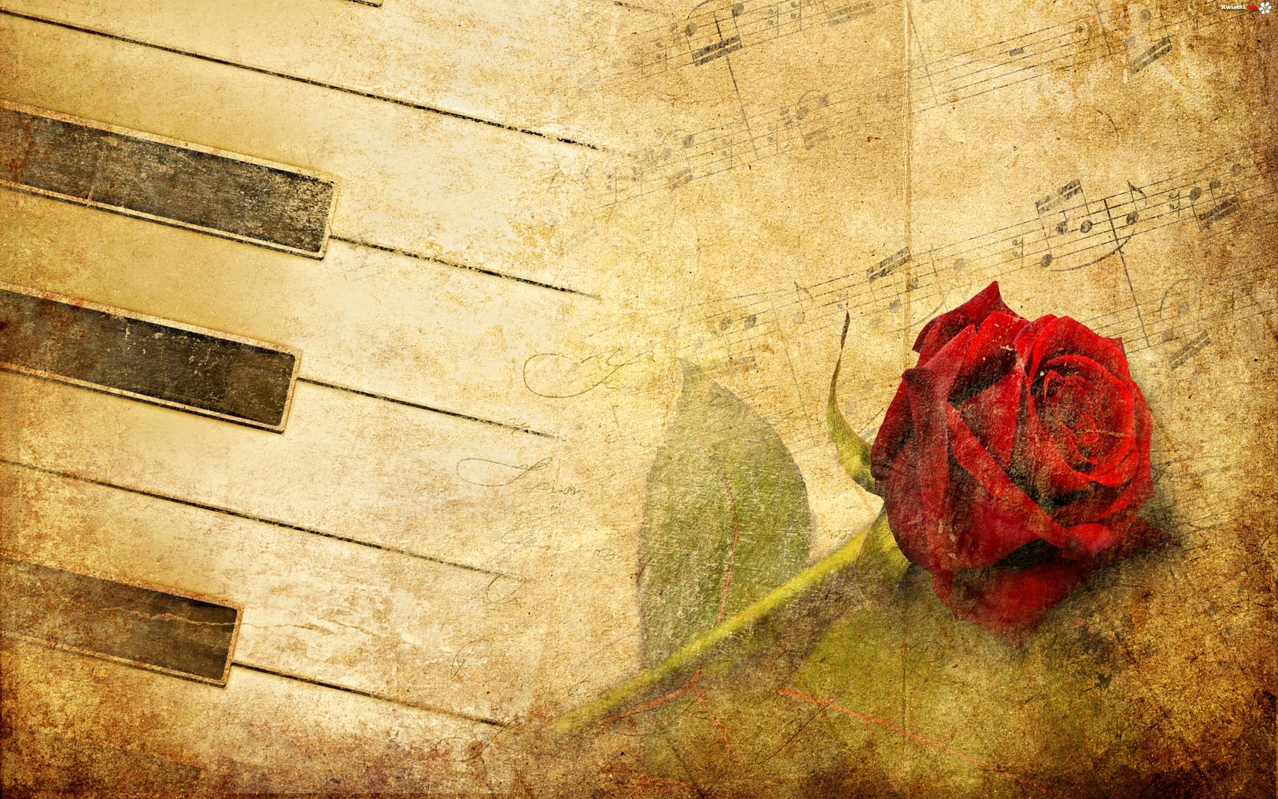 Vilma Rivera On Graphic Image Music Wallpaper Vintage