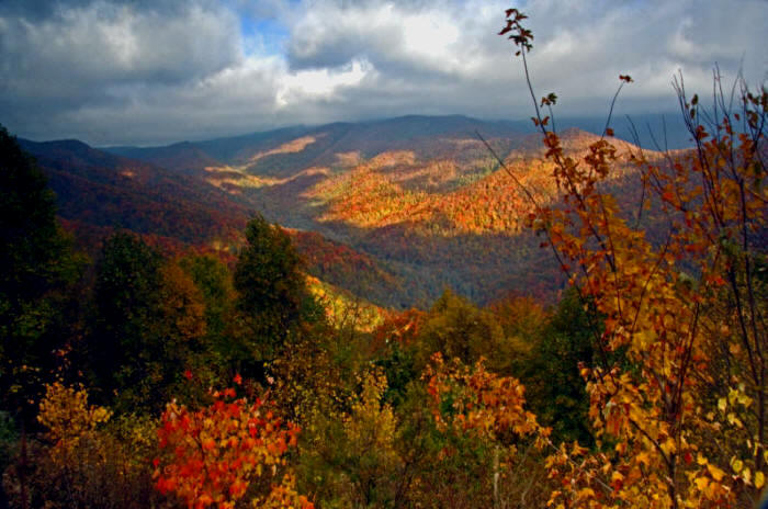 Pin Autumn Mountain Fall