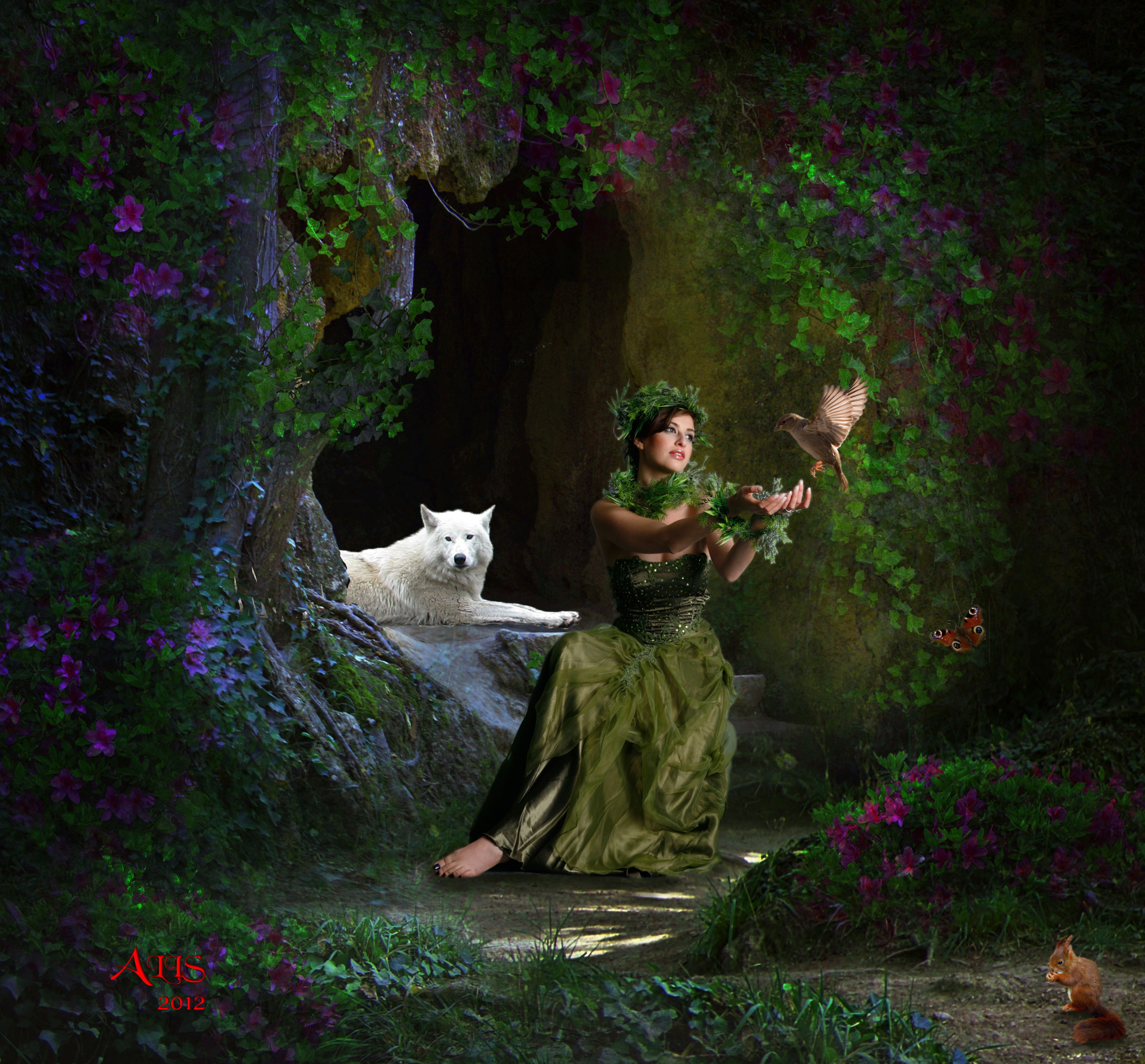 Fantasy Image Il Lupo Bianco HD Wallpaper And Background Secret