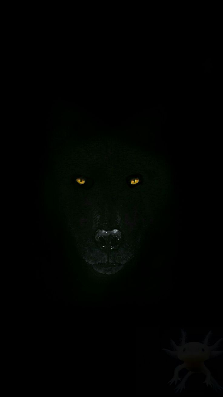 Look at this Wolf wallpaper i made   wolf post