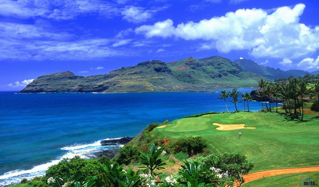 Wallpaper Golf Course In Hawaii X Desktop